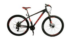 Bicicleta Raleigh 2.0 R29