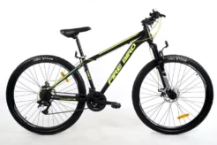 Bicicleta Fire Bird R29
